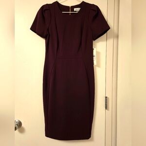 NWT Calvin Klein‎ Aubergine short sleeved dress